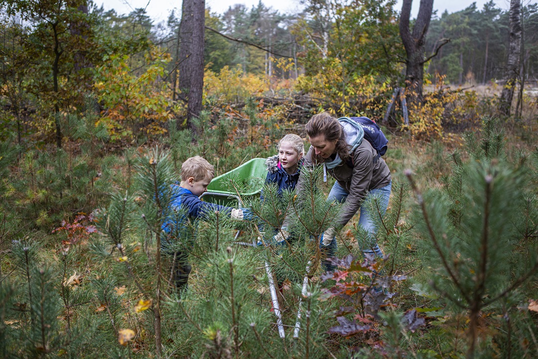 De Natuurwerkdagen komen eraan! Doe mee in Arnhem en omgeving